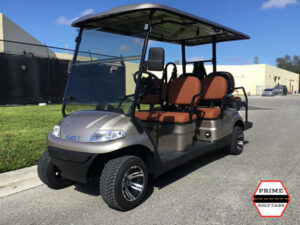Champagne Advanced EV 6 Passenger Golf Cart affordable golf cart rental, golf cart rent cabo san lucas