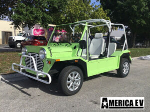 Light Green Mokee 4 Passenger Golf Cart affordable golf cart rental, golf cart rent cabo san lucas