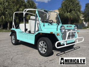 Mint Mokee 4 Passenger Golf Cart affordable golf cart rental, golf cart rent cabo san lucas
