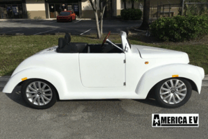 White America EV 39 Roadster 4 Passenger Golf Cart affordable golf cart rental, golf cart rent cabo san lucas