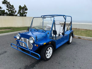 Blue Mokee 4 Passenger Golf Cart golf cart rental cabo san lucas, cabo san lucas golf cart